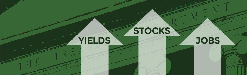 dec-8-yields